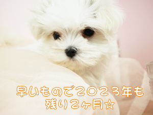 今日から１１月です！